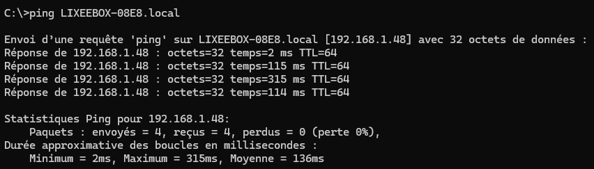 Réponse ping confirmant l'adresse IP de ma ZiWiFi32